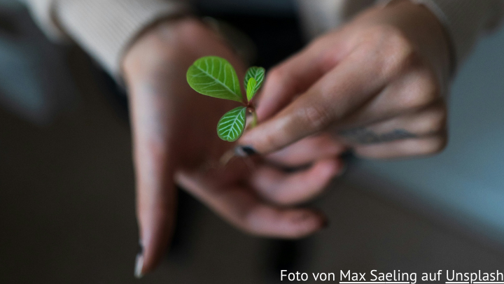 Grüne Handschrift im Ausschuss sichtbar