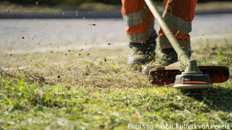 Förderung der Biodiversität durch naturnahe Pflege kommunaler Grünflächen